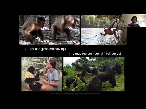 YouTube video SytkiBSwoXs thumbnail